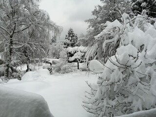 Casa per le vacanze Klingenthal (Bas-Rhin) Ambiente 23