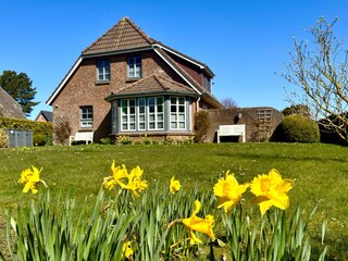 Ferienhaus Nieblum Ausstattung 23