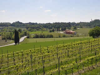 Appartamento per vacanze Lazise Registrazione all'aperto 13