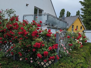 Appartamento per vacanze Göhren-Lebbin Registrazione all'aperto 11