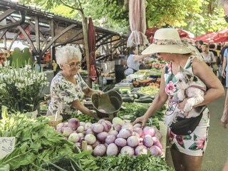 Täglicher Markt, Gemüsefleisch Fisch, auch Lidl etc.