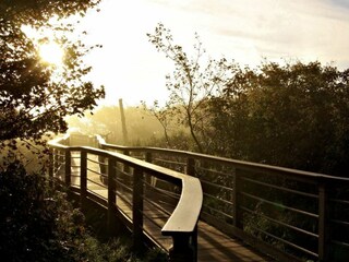 Ferienwohnung Juist Umgebung 30