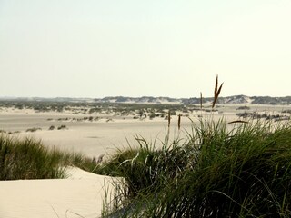 Ferienwohnung Norderney Umgebung 6