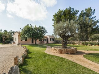 Tenuta Algaida Ambiente 44