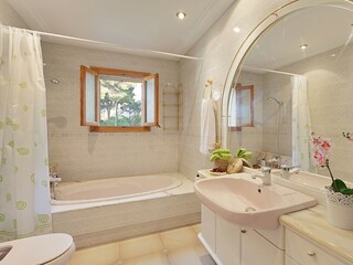 Villa Arenal Features 25