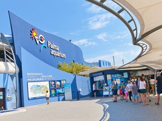 Villa Sa Torre Ambiente 22