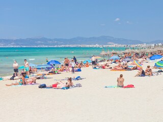 Villa Sa Torre Ambiente 24