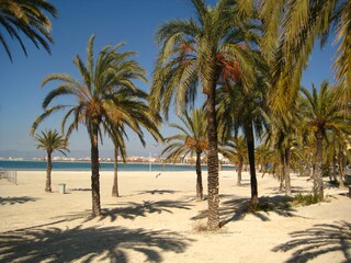 Villa Sa Torre Ambiente 25