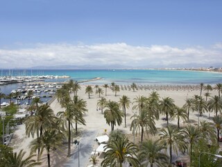 Villa Sa Torre Ambiente 26