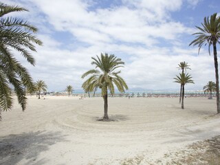 Villa Sa Torre Ambiente 28