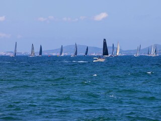 Villa Sa Torre Ambiente 30