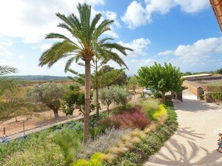 Villa Sant Llorenc des Cardassar Registrazione all'aperto 7