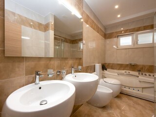 Villa Opatija Caratteristiche 32