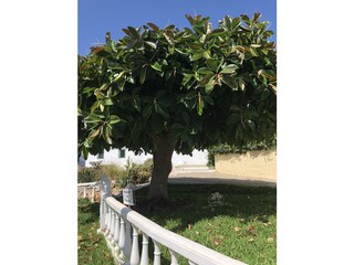 Appartamento per vacanze Torrox Costa Ambiente 39