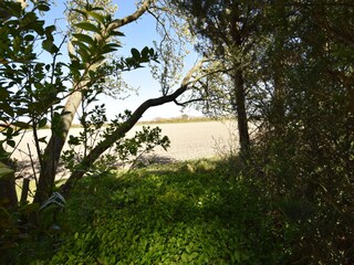 Casa per le vacanze Oostkapelle Registrazione all'aperto 6