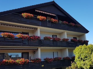 Ihr Urlaubsdomizil (1. OG links)