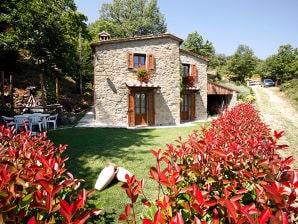 Holiday house Villa Il Seccatoio with Pool, near Cortona - Cortona - image1