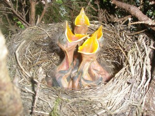 Casale Mittersill Ambiente 26