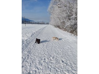 Casale Mittersill Registrazione all'aperto 10