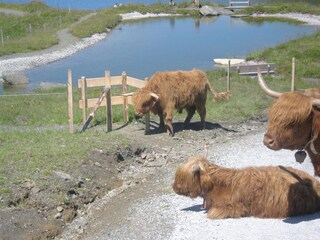Casale Mittersill Ambiente 18