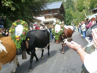 Casale Mittersill Ambiente 24