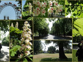 Wiener Prater mit Riesenrad