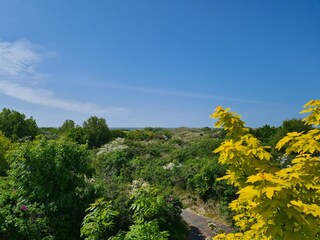 Naturschutzgebiet Greune-Stee