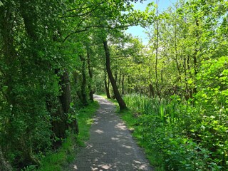Naturschutzgebiet Greune-Stee