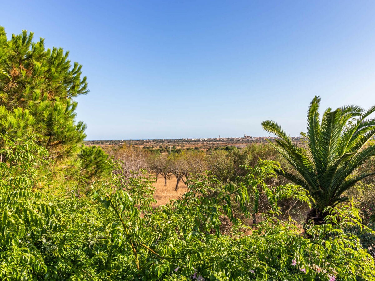 Finca S'Alqueria Blanca Außenaufnahme 7