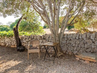Finca S'Alqueria Blanca Grabación al aire libre 8