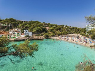 Finca S'Alqueria Blanca Environnement 46