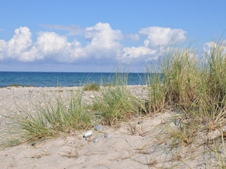 Ferienwohnung Burgtiefe Außenaufnahme 16