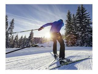 Skating und Klassische Spur direkt am Hotel