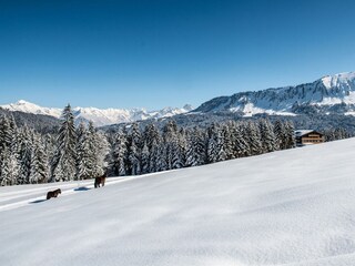 Winterwanderweg vom Hörnlepass Richtung Osterberg