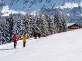 Winterwandern am Hörnlepass