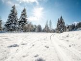 Die Loipe startet direkt am Hotel am Hörnlepass