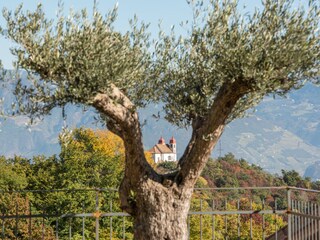 Appartamento per vacanze Eppan Registrazione all'aperto 7