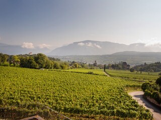 Appartamento per vacanze Eppan Ambiente 35