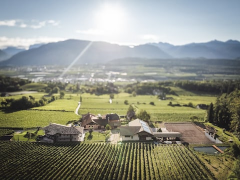 Ferienwohnung Schloss Gandegg