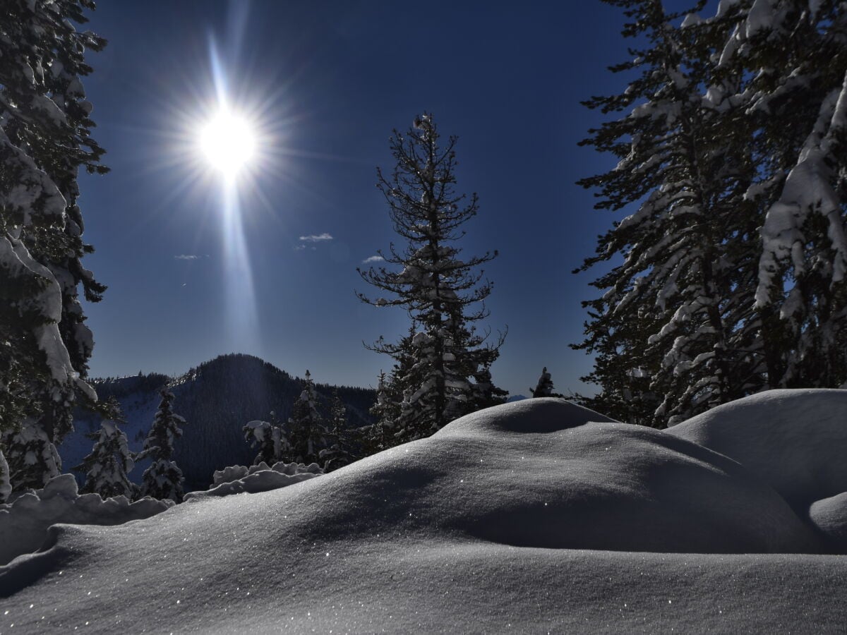 Winterwunderland