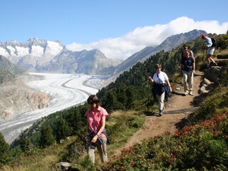 Aletsch Arena - ein Wanderparadies