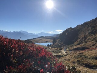 Wandern im Herbst, Bettmersee und Walliser Alpen