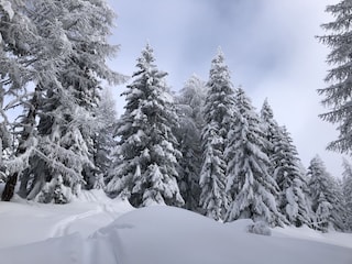 Winterstimmung auf der Bettmeralp