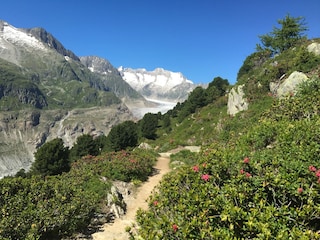 Wanderung im Aletschgebiet