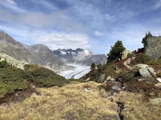 Wandern auf dem Bettmergrat, Blick zum Aletschgletscher