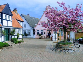 Schleistadt Kappeln im Frühling