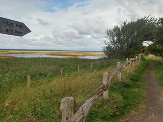 Wanderweg in der Geltinger Birk