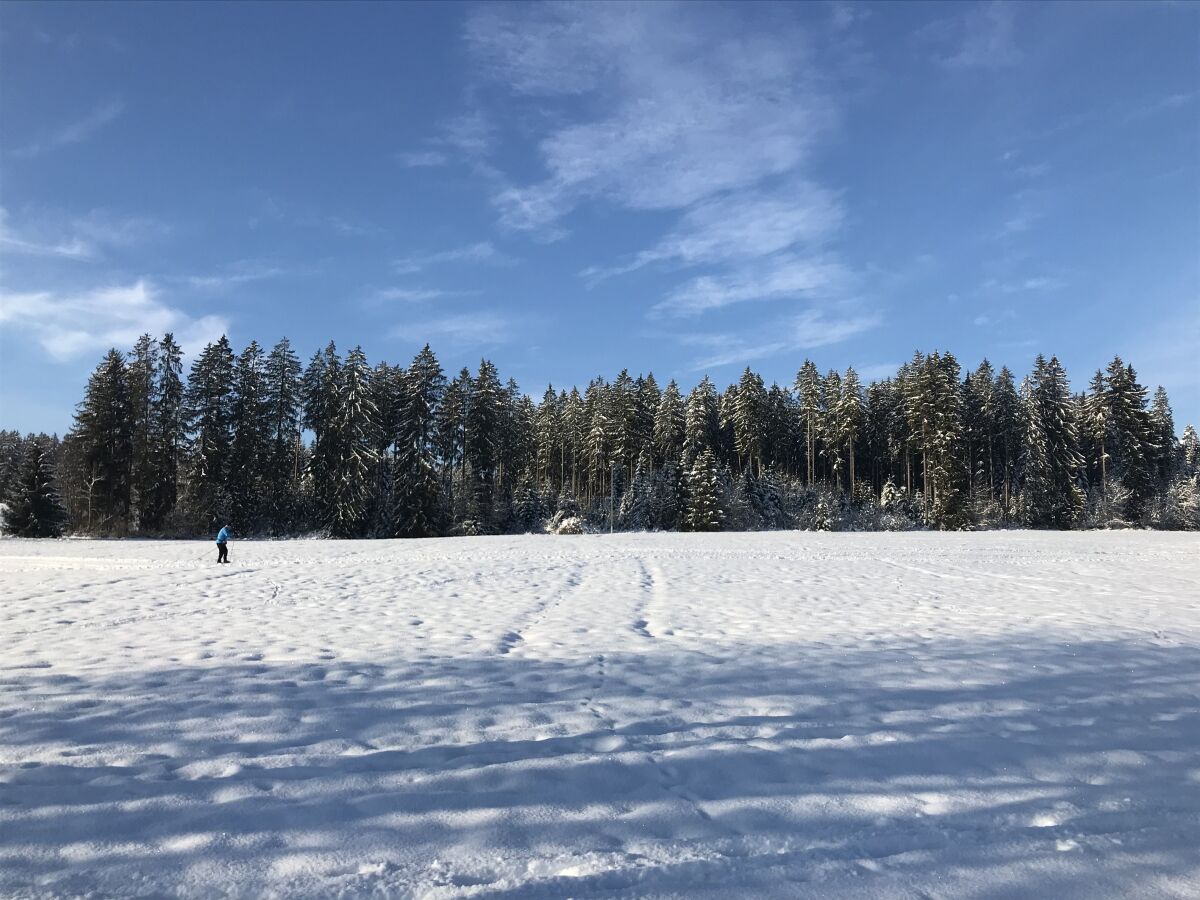 Winterlandschaft am Feld