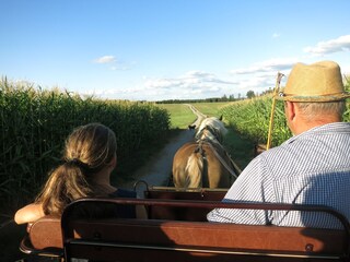 Casa per le vacanze Donaueschingen Ambiente 31