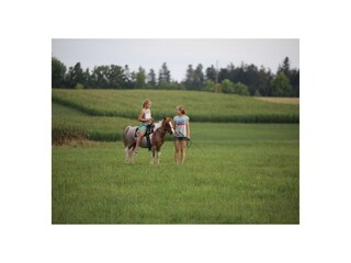 Casa per le vacanze Donaueschingen Ambiente 32